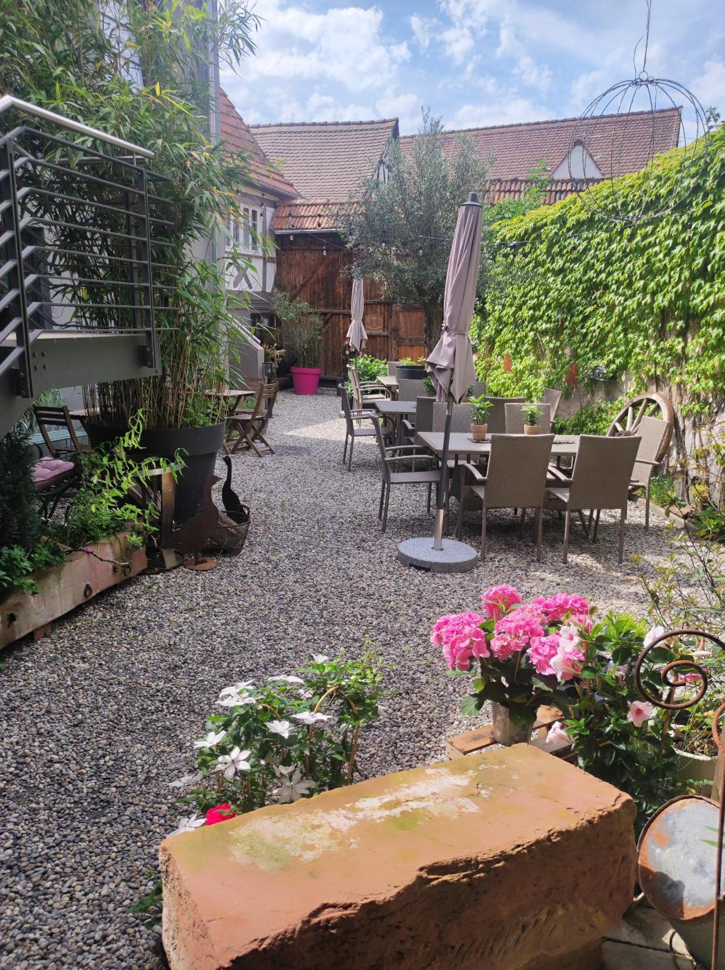 Hofgarten Rosa Ilbesheim bei Landau in der Pfalz Екстер'єр фото