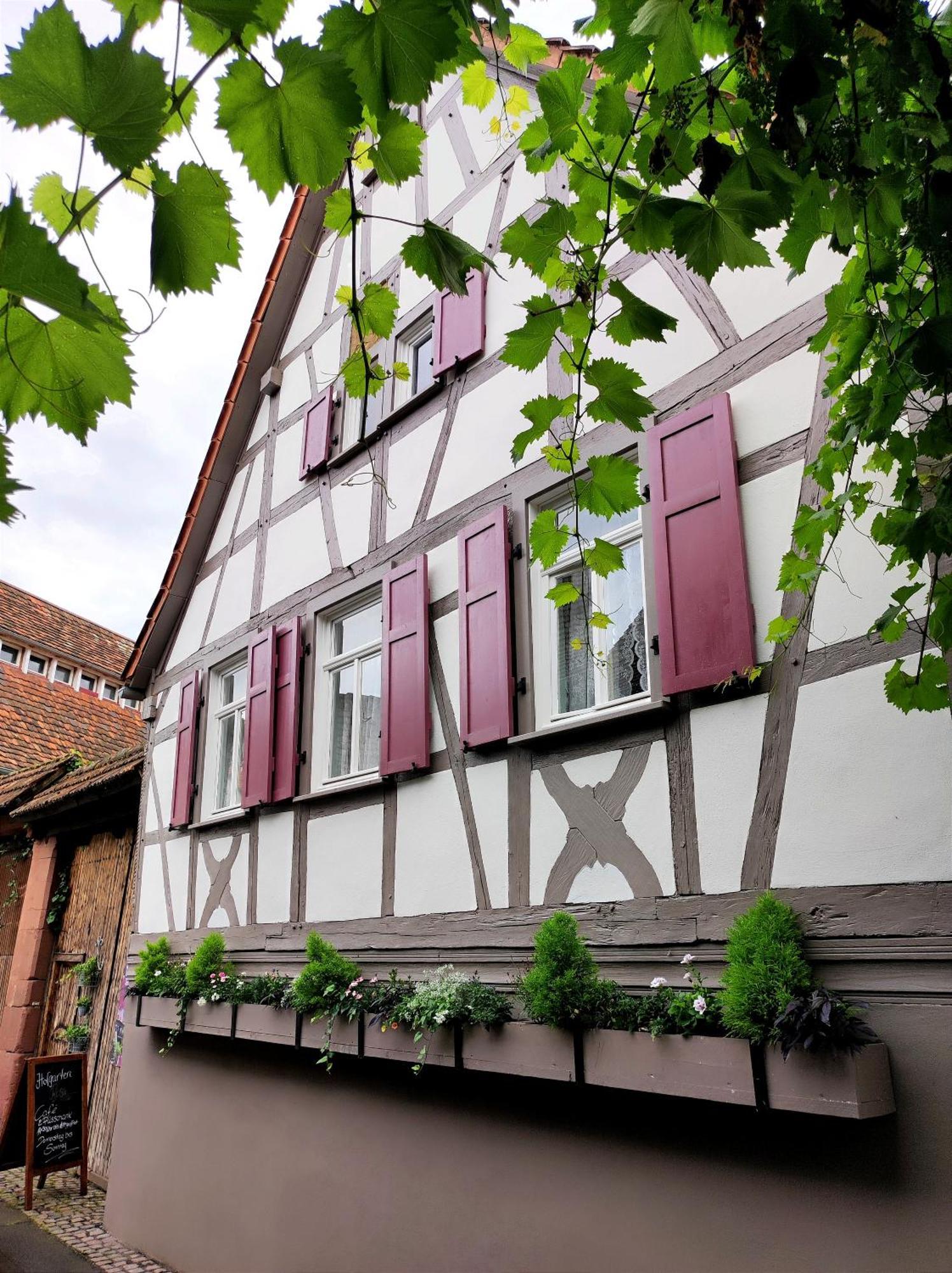 Hofgarten Rosa Ilbesheim bei Landau in der Pfalz Екстер'єр фото