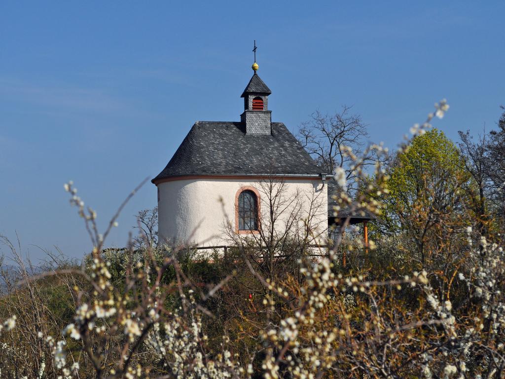 Hofgarten Rosa Ilbesheim bei Landau in der Pfalz Екстер'єр фото