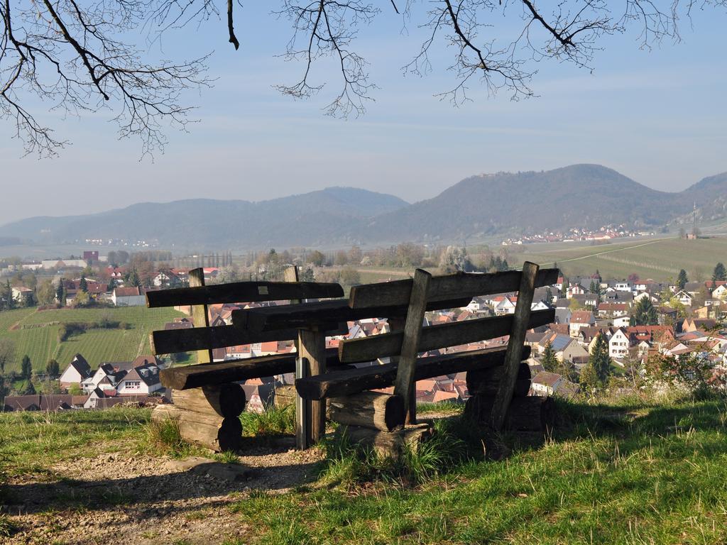 Hofgarten Rosa Ilbesheim bei Landau in der Pfalz Екстер'єр фото